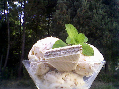 gelado de feijão branco e amendoim Pudim-sopa-peixe-bolo 068